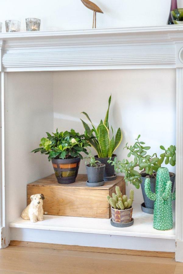 Gorgeous, 4 Bed Victorian House In Dollis Hill Villa London Ngoại thất bức ảnh